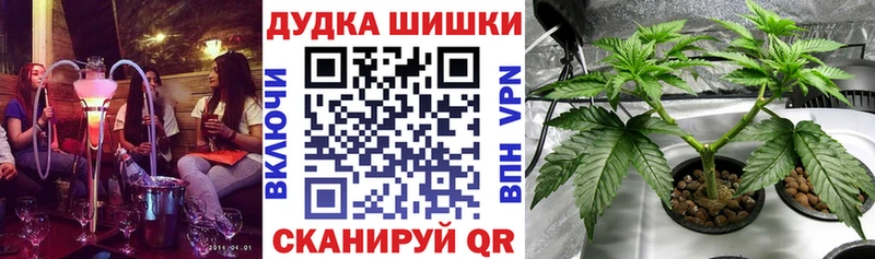 Как найти наркотики Лыткарино Гашиш  А ПВП  КОКАИН  Меф мяу мяу  Конопля 