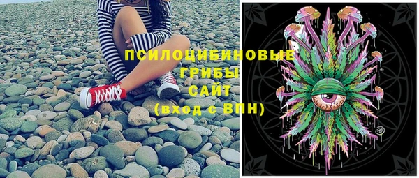 apvp Балахна