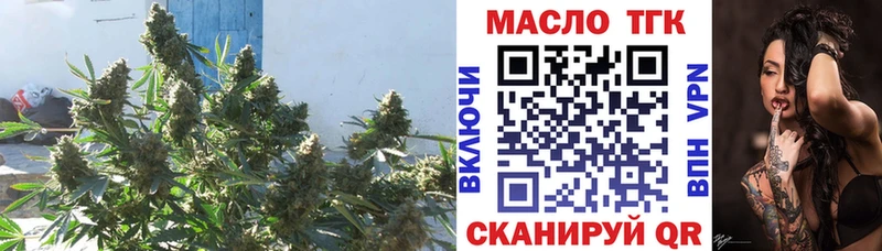 ТГК THC oil Лыткарино