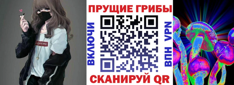 Псилоцибиновые грибы Psilocybine cubensis Лыткарино
